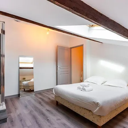 Le Grand Carmes * Nancy-centre Apartment *
