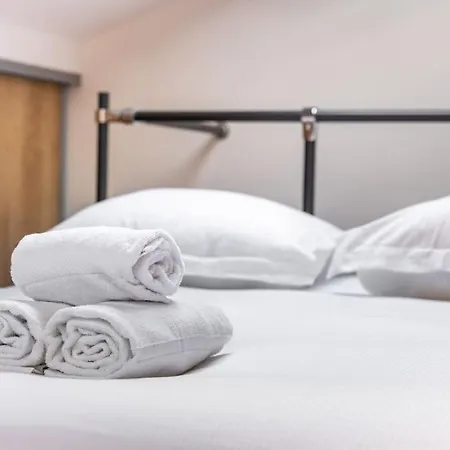 Le Grand Carmes * Nancy-centre Apartment